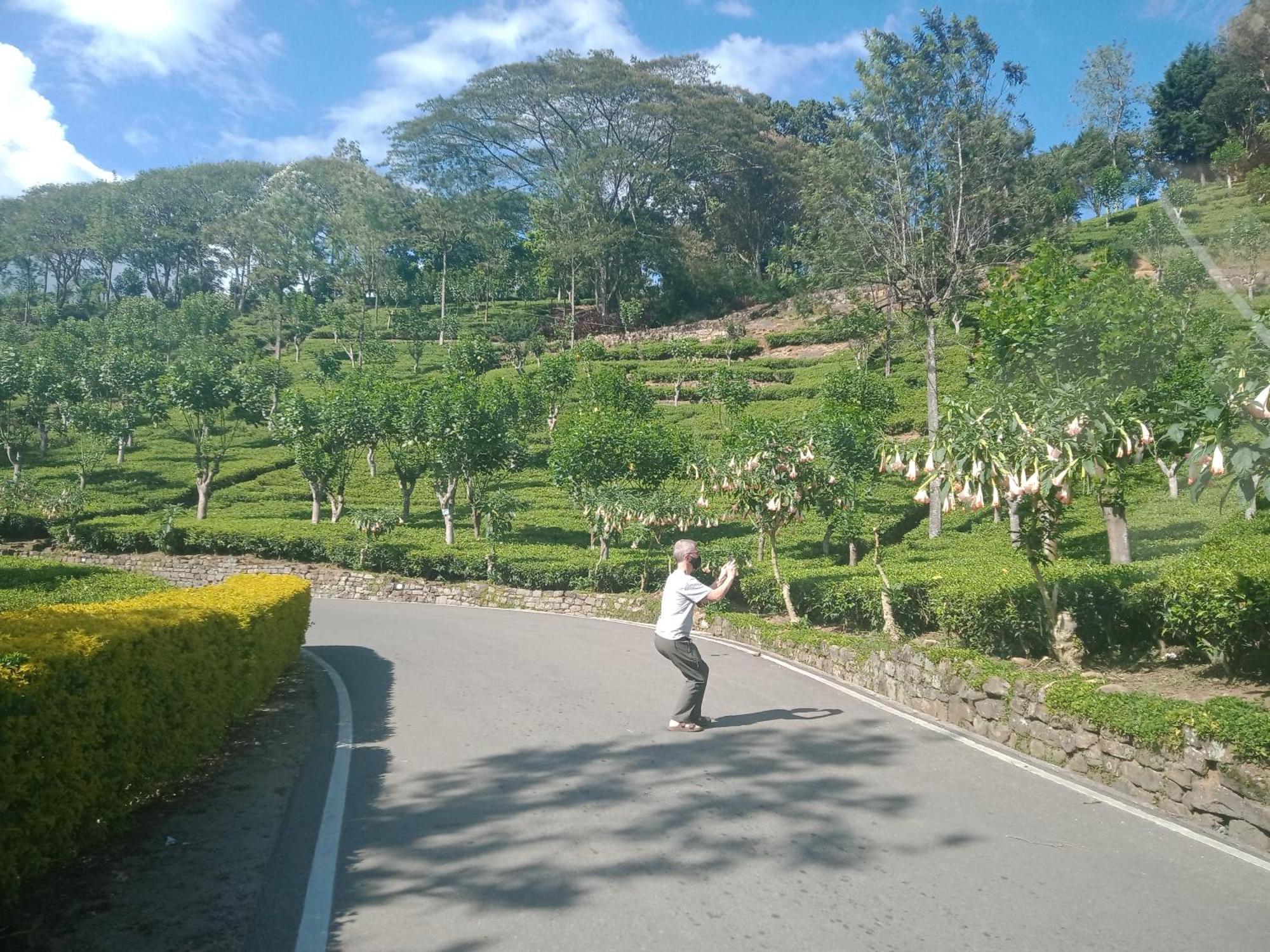 Princess Of Dickoya Homestay Hatton Pokój zdjęcie
