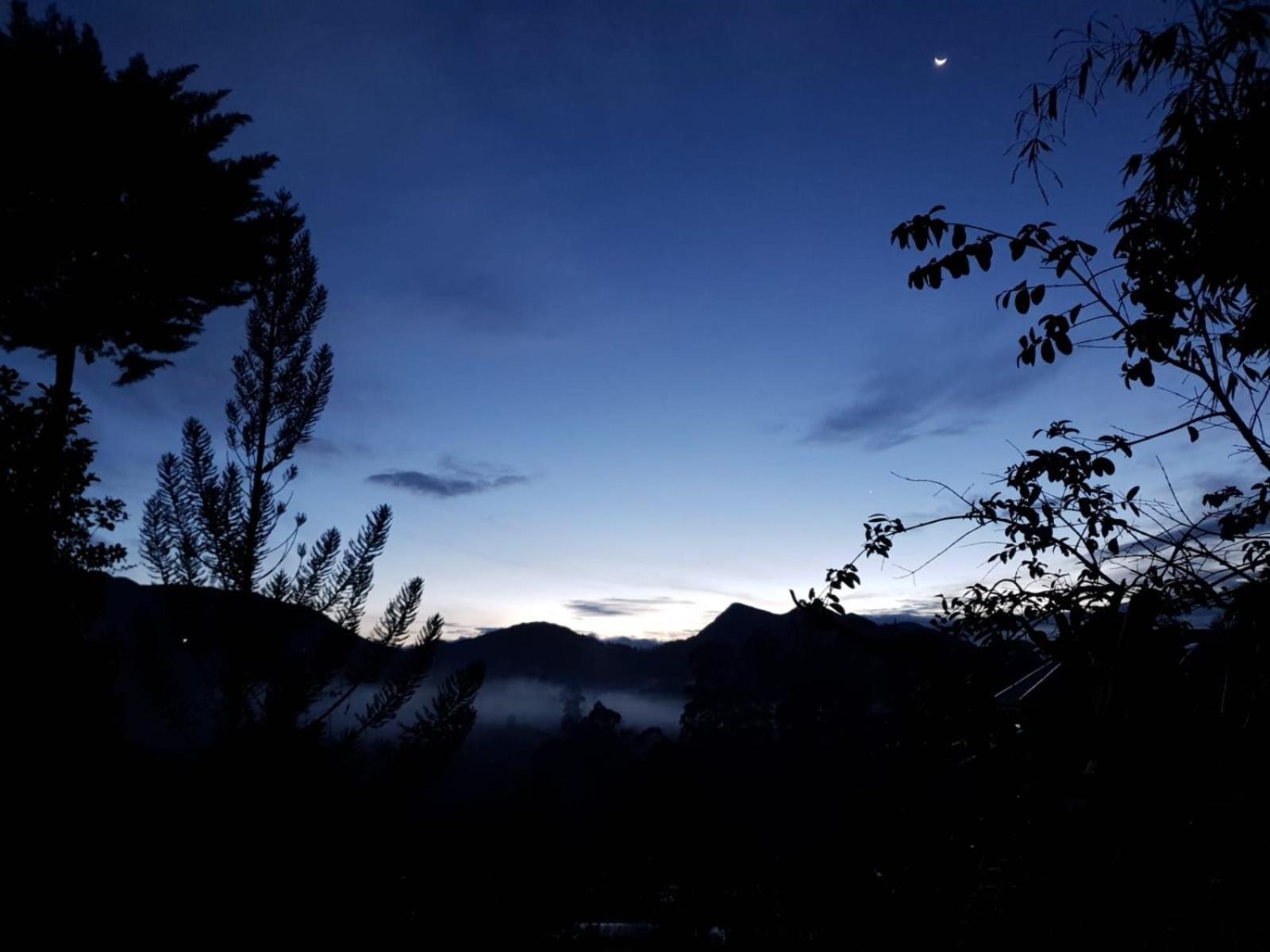 Princess Of Dickoya Homestay Hatton Pokój zdjęcie